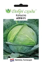Насіння Капуста білокачанна пізня Атрія F1, 50 насінин Seminis Добрі Сходи