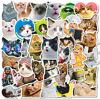 Набор виниловых стикеров наклеек котята МЕМЫ 02 50 шт