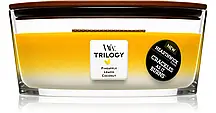 Ароматична свічка з дерев'яним гнітом Woodwick Trilogy Fruits of Summer 453 g