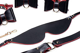Набор для BDSM Master Series Bow - Luxury BDSM Set With Travel Bag, фото 5