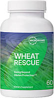 Microbiome Labs Wheat Rescue / Ферменты для глютена и молока 60 капсул