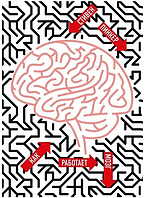 Книга "Как работает мозг" - Стивен Пинкер
