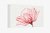 Подарунковий набір Rituals The Ritual Of Ayurveda Small Gift Set S, фото 8