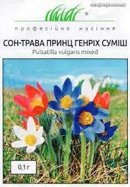 Квіти Сон-трава Принц Генріх суміш 0,1 г, Професійне насіння - фото 1 - id-p2017891668