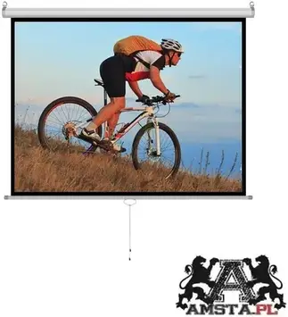 Проекційний екран Art Półautomat 120" 244X183Cm Ms-120 4:3