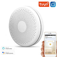 Wifi комбінований датчик диму та CO: Tuya Wifi Smoke&Carbon Monoxide Compound Alarm, з бузком і