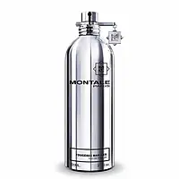 Montale Fougeres Marine 20 мл — парфуми (edp) Travel (у чохлі)