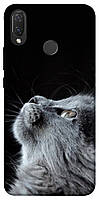 Чехол с принтом на Хуавей П Смарт Плюс cute cat / Чехол с принтом на Huawei P Smart Plus