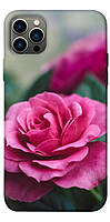 Чехол с принтом на Айфон 12 Про роза в саду / Чехол с принтом на iPhone 12 Pro