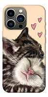 Чехол с принтом на Айфон 13 Про cats love / Чехол с принтом на iPhone 13 Pro