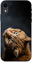 Чехол с принтом на Айфон Икс Эр рыжий кот / Чехол с принтом на iPhone XR