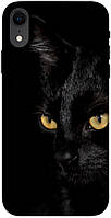 Чехол с принтом на Айфон Икс Эр черный кот / Чехол с принтом на iPhone XR