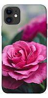 Чехол с принтом на Айфон 11 роза в саду / Чехол с принтом на iPhone 11