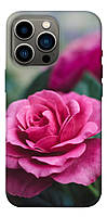 Чехол с принтом на Айфон 13 Про роза в саду / Чехол с принтом на iPhone 13 Pro