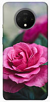 Чехол с принтом на Ван Плюс 7Т роза в саду / Чехол с принтом на OnePlus 7T