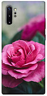 Чехол с принтом на Самсунг Галакси Ноут 10 Плюс роза в саду / Чехол с принтом на Samsung Galaxy Note 10 Plus