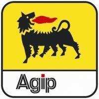 Масло для винтовых компрессоров AGIP Dicrea 46 - фото 3 - id-p26283911