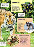 Дитяча енциклопедія хижаків. Алекс Вульф, Клер Філіп, фото 4