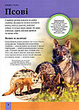 Дитяча енциклопедія хижаків. Алекс Вульф, Клер Філіп, фото 5