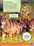 Дитяча енциклопедія хижаків. Алекс Вульф, Клер Філіп, фото 6