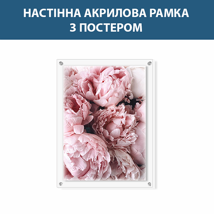Панно фоторамка пластикове настінне 30 х 50 см (зображення 24 х 44 см) товщина 3 мм, фото 3