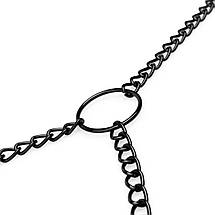 Затискачі для сосків та клітора Bedroom Fantasies: Nipple & Clitoral Clamps, чорні, фото 4