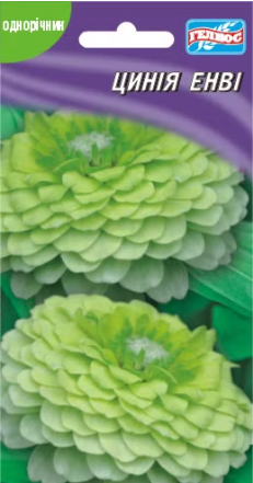 Цинія Енві біло-зелена 30 шт