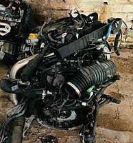 M9R809 Двигун, фото 4