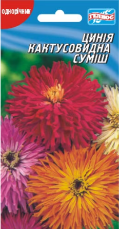 Цинія Кактусовидна суміш 30 шт