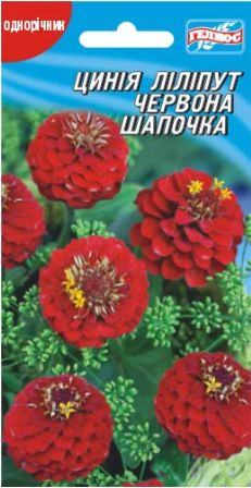 Цинія Ліліпут Червона шапочка 30 шт