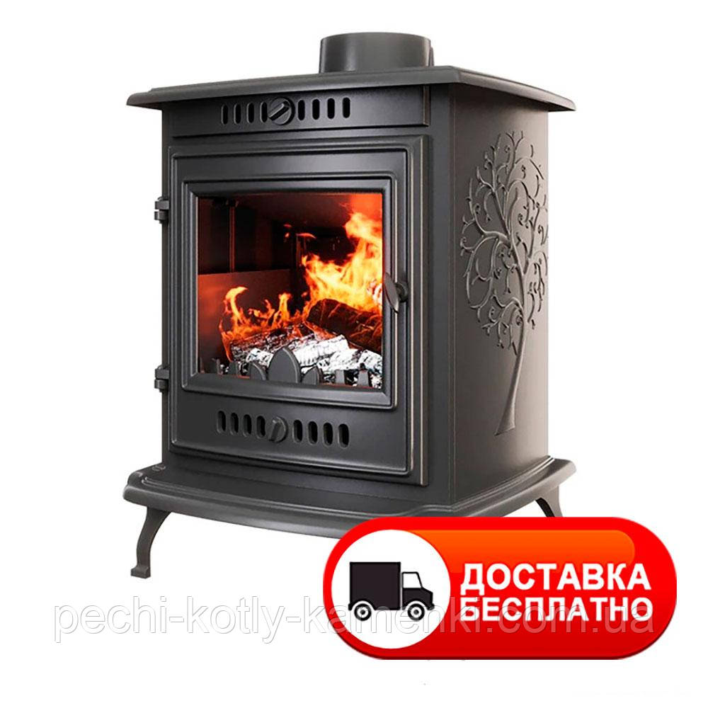 Чавунна піч Kaw-Met P10 (6.8 kW) EKO
