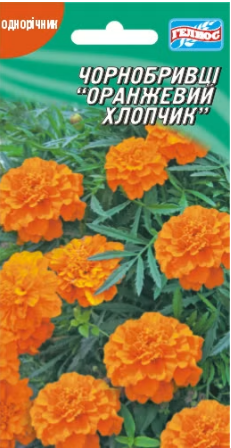 Чорнобривці Оранжевий хлопчик 50 шт