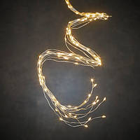 Новогодняя гирлянда Охапка струн Luca 2 м серебряная струна цвет теплый белый