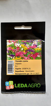 Насіння Кермек (статиця) Пасифік Суміш 5 грамів (1250 насінин) Hem Zaden, фото 3