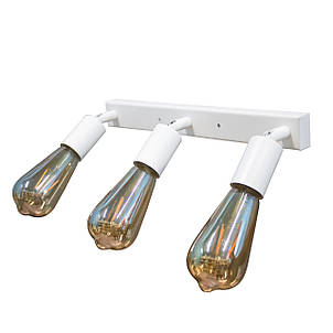 Світильник у стилі лофт із поворотним механізмом MSK Electric Asket NL 1222-3 W, фото 1