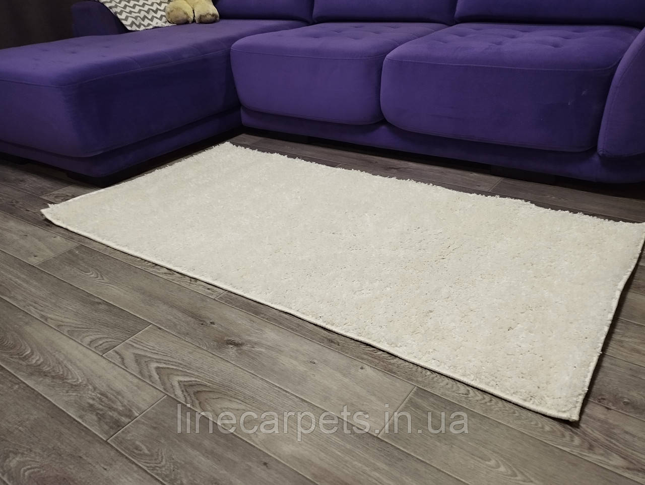 Ворсистий білий килим SHAGGY BRAVO WHITE, фото 1