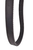 Клиновий ремінь 51 x 1930 мм для CLAAS Bass Polska DZ CR-628630, фото 3