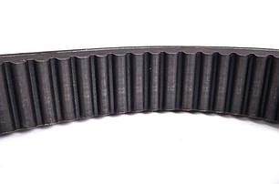 Клиновий ремінь 51 x 1930 мм для CLAAS Bass Polska DZ CR-628630, фото 2