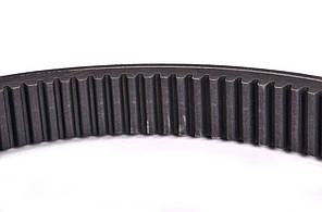 Клиновий ремінь 55 x 1900 мм для CLAAS Bass Polska DZ CR-644177, фото 3