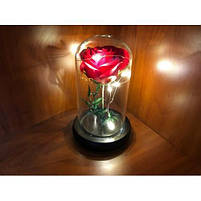 Вічна троянда в колбі з LED підсвічуванням 17 см, фото 3