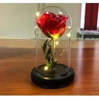 Вічна троянда в колбі з LED підсвічуванням 17 см, фото 4