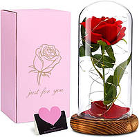Вічна троянда в колбі з LED підсвічуванням + кулон, фото 4