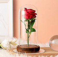 Вічна троянда в колбі з LED підсвічуванням 23 см, фото 2