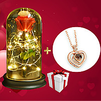 Вічна троянда в колбі з LED підсвічуванням + кулон, фото 3