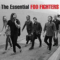 Виниловая пластинка Foo Fighters The Essential Foo Fighters