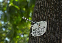 Бирки для маркировки живых деревьев signumat arbo tag