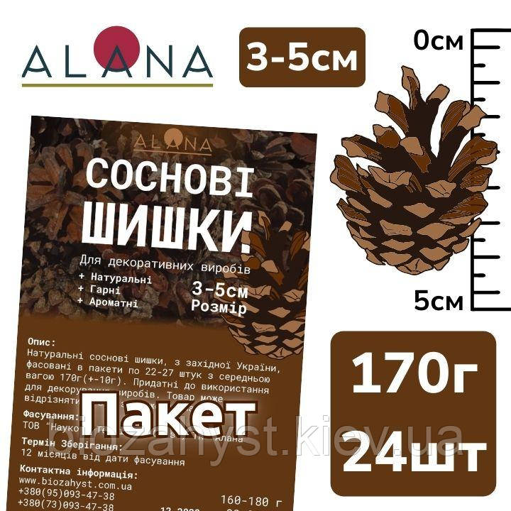 Соснові Шишки декоративні в пакеті 3-5см, 170г