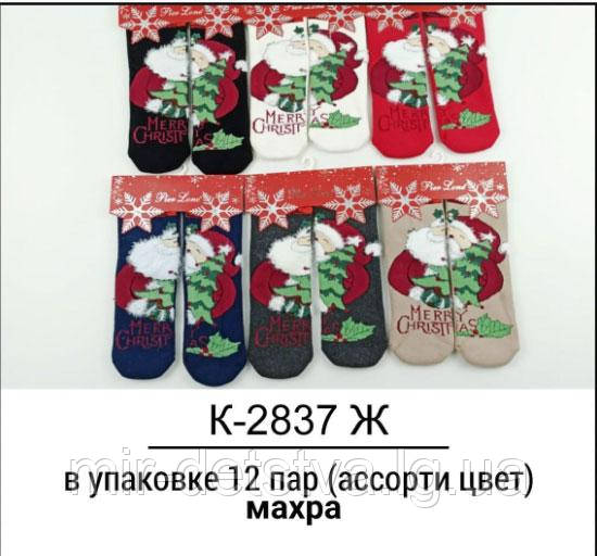 Махрові жіночі шкарпетки гуртом TM Pier Lone р.35-40 (2 пари)