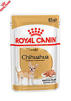 Влажный корм Royal Canin Chihuahua - консервы для взрослых собак породы чихуахуа в возрасте от 8 мес