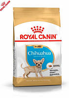 Сухой корм для щенков Royal Canin Chihuahua Puppy породы чихуахуа в возрасте от 2 до 8 месяцев, 0.5 кг